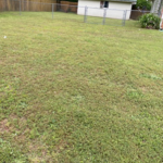 Lawn Care