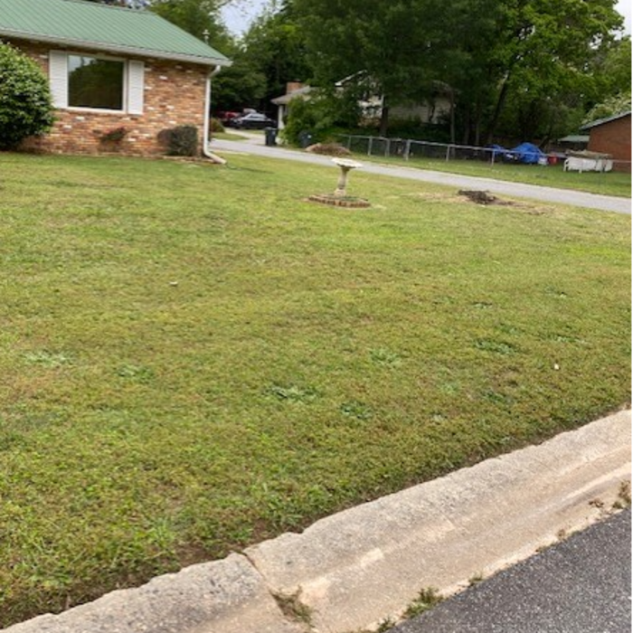 Lawn Care