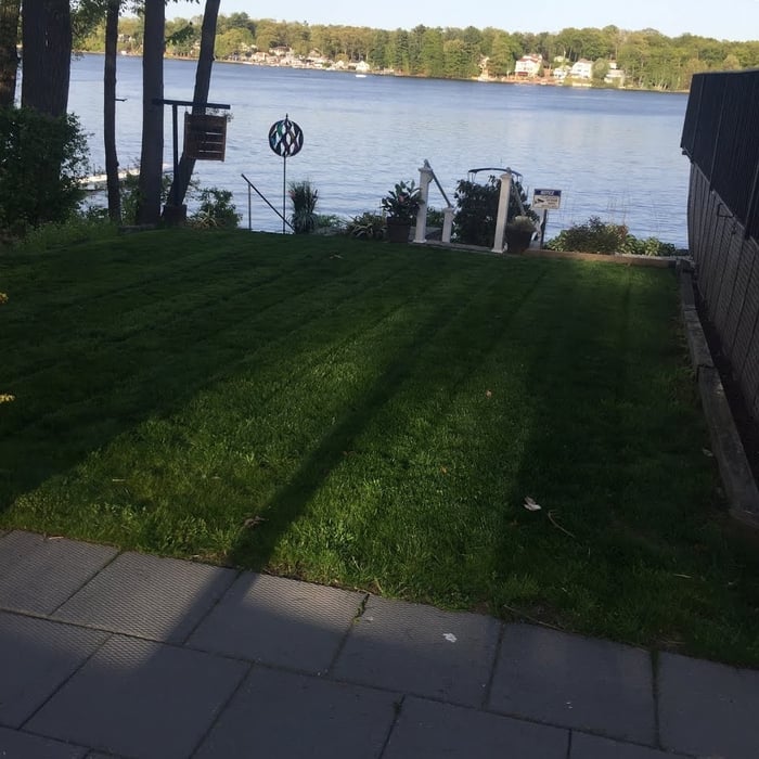Lawn Care