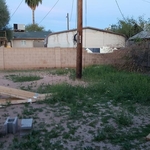 Back Yard Debri