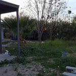 Dirty Back Yard
