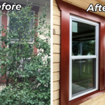 Before and After