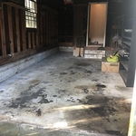 Carpet Removal