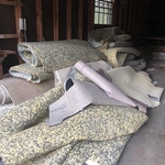Carpet Removal