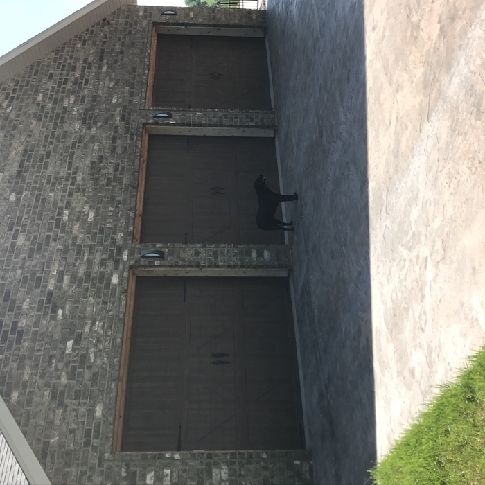 Classic 3000 with hinges and handles