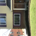 Shrub removal