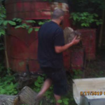 Junk Removal