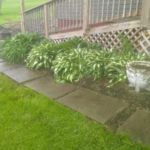 Yard Cleanup