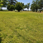Large lawn