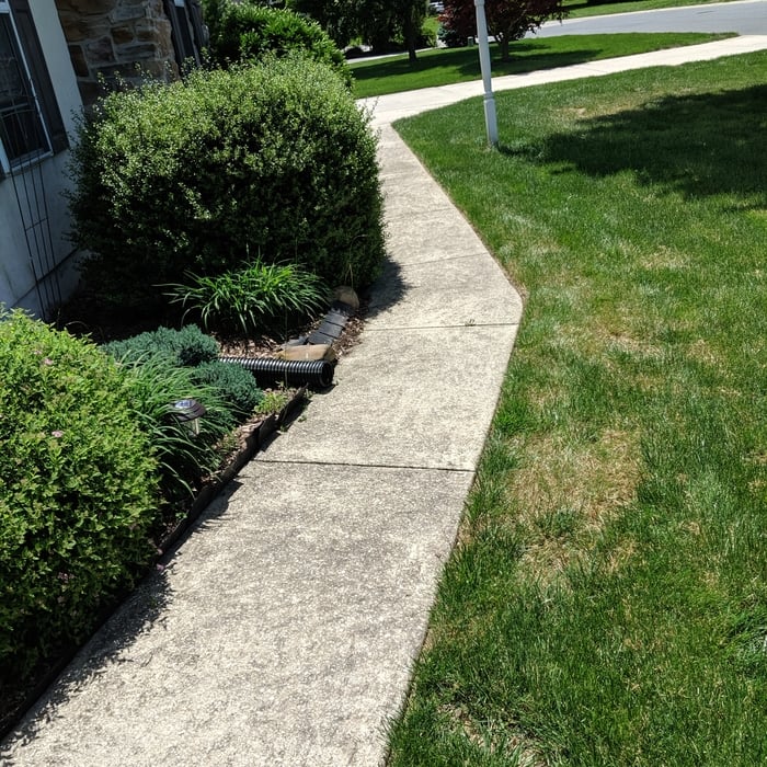 Walkway Before Cleaning Photo