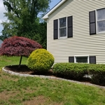 Garden Bed Services