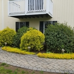 Garden Bed Services