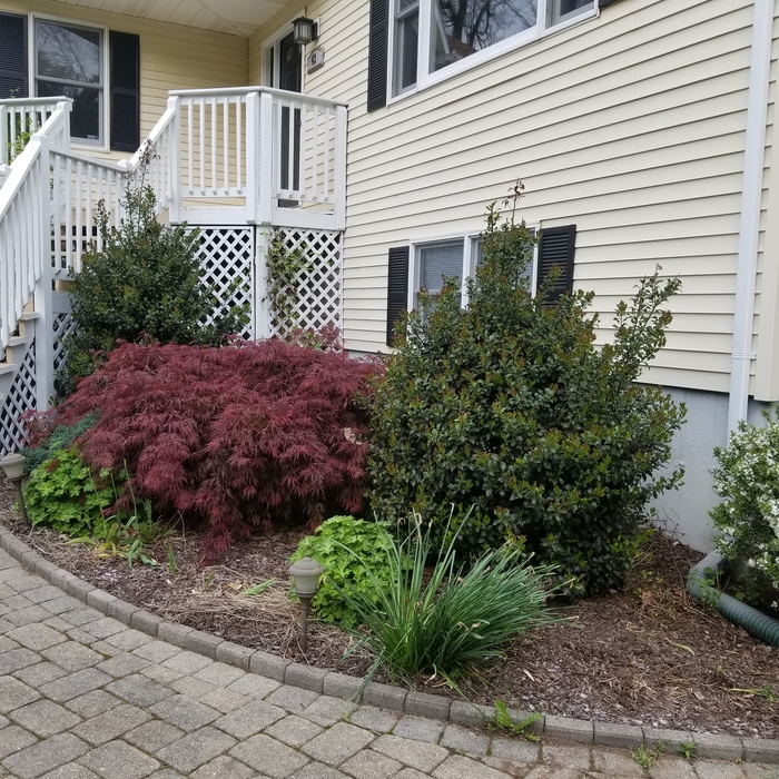 Garden Bed Services