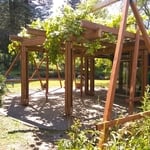 Pergola