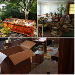 Trash out, Clean Out