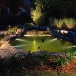 Photos for both landscape