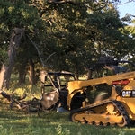 Mulching Tree Branches