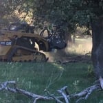 Mulching Tree Branches