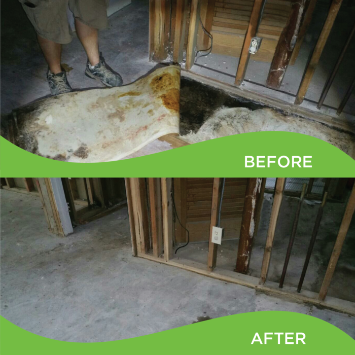 Before and After