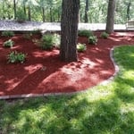 New Flower Bed