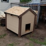 dog house