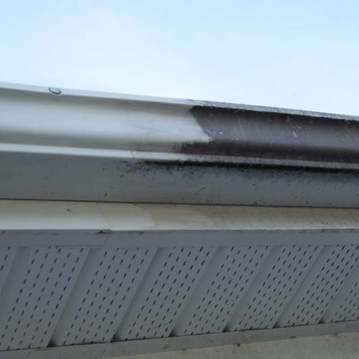 Gutter Cleaning