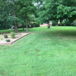 Mow