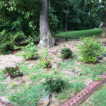 Lawn Care