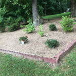Lawn Care