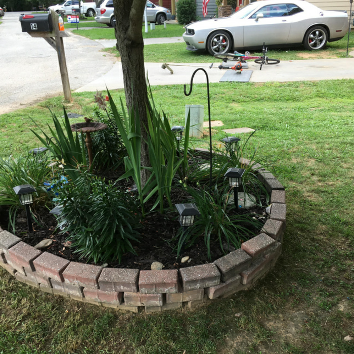 Lawn Care
