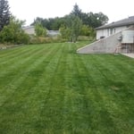 Clean & Straight Lines