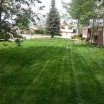 Long Clean Lines