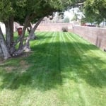 Nice Striping