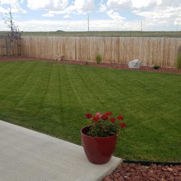 Beautiful Backyard 1