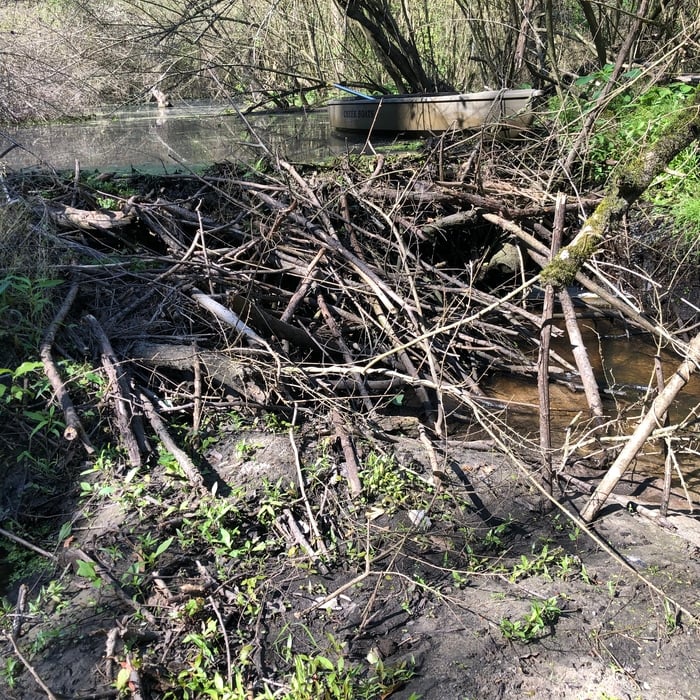 Dam