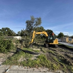 Tree removal