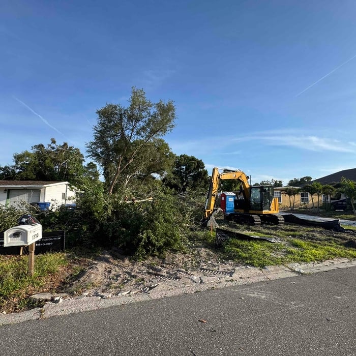 Tree removal