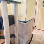 Exposed walls after mold remediation