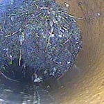 Sewer Jetting
