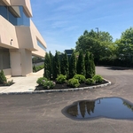 Planting to cover a generator