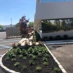Planting Installation