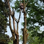 60 feet