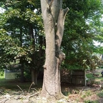 30 feet