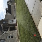 Sprinkler just turned on after sod install