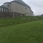 Finished backyard.