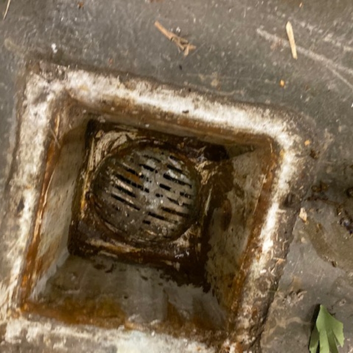cleaning drain