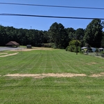 Grass cutting