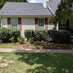 Trimming shrubs