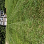 Grass cutting