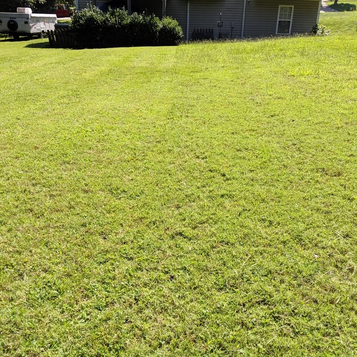 Grass cutting